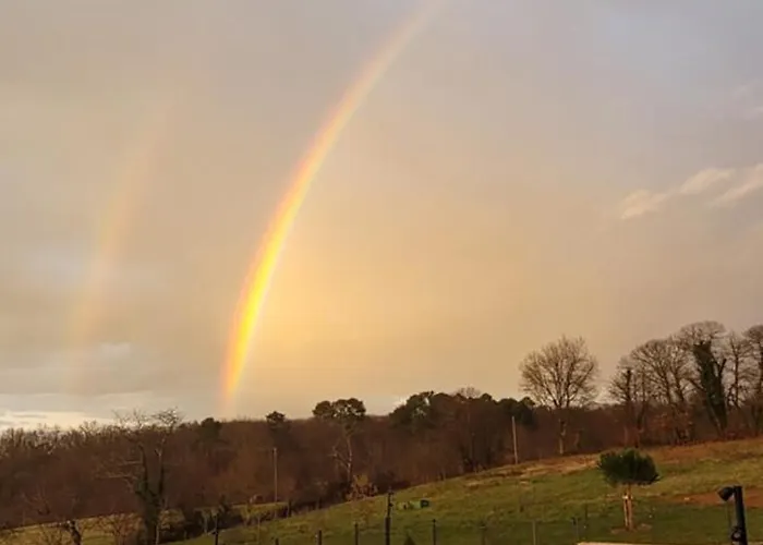 Le petit nid du Quercy